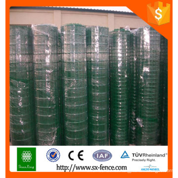 PVC beschichtet holland Draht Mesh / holland Zaun / Euro Zaun